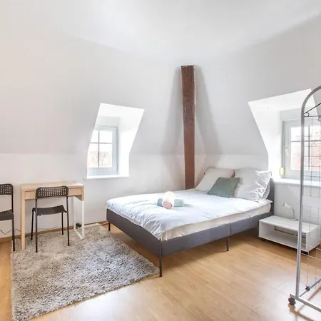 Exceptionnels Studio, Maison De Maitre, Parking Gratuit Sur Place, Mulhouse Centre Exterior foto