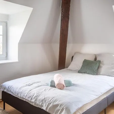 Exceptionnels Studio, Maison De Maitre, Parking Gratuit Sur Place, Mulhouse Centre Exterior foto