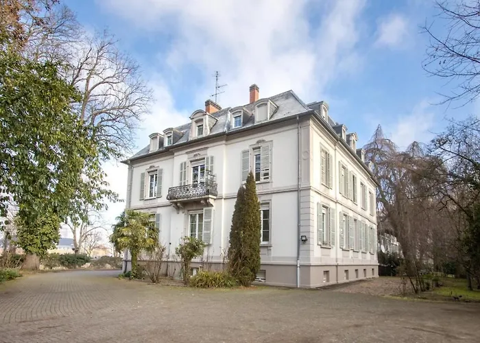 Exceptionnels Studio, Maison De Maitre, Parking Gratuit Sur Place, Mulhouse Centre