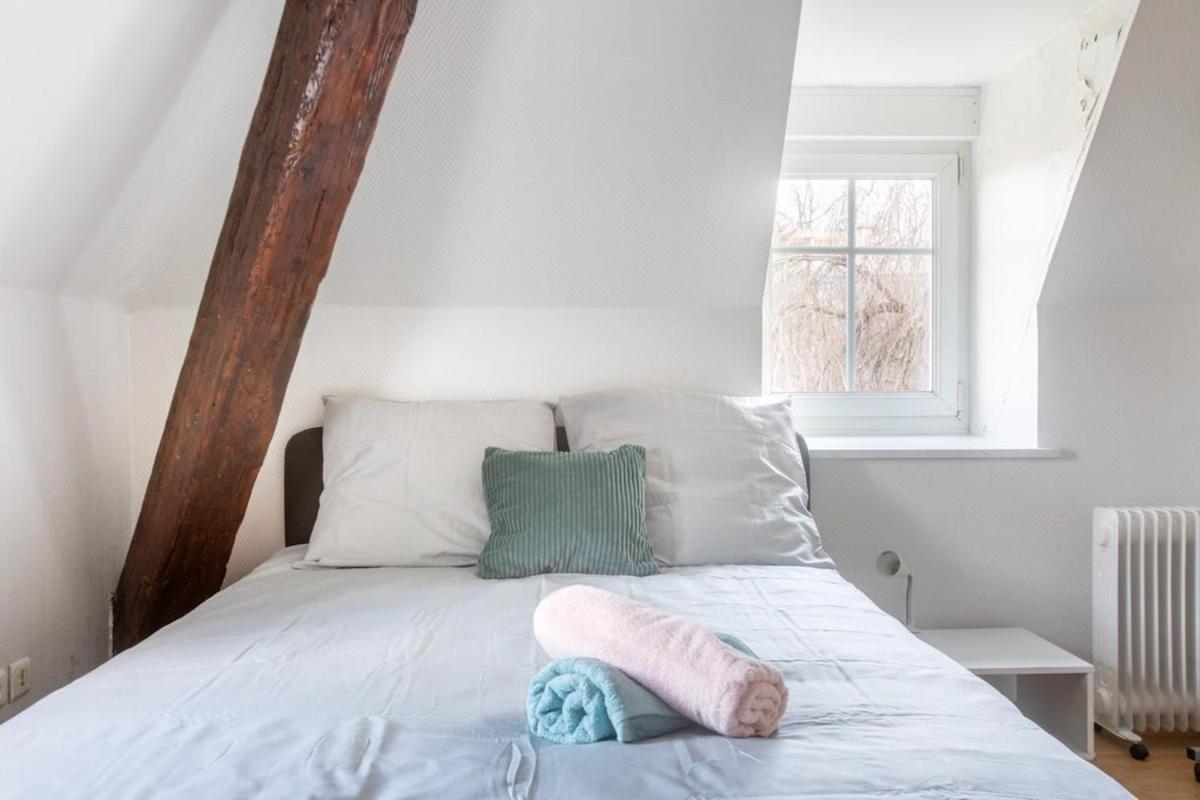 Exceptionnels Studio, Maison De Maitre, Parking Gratuit Sur Place, Centre Mulhouse