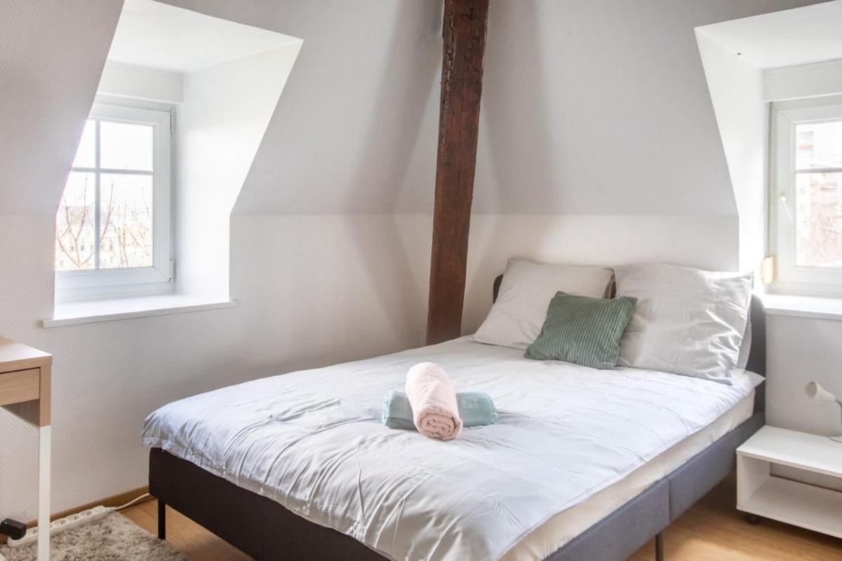 Exceptionnels Studio, Maison De Maitre, Parking Gratuit Sur Place, Centre Apartment Mülhausen