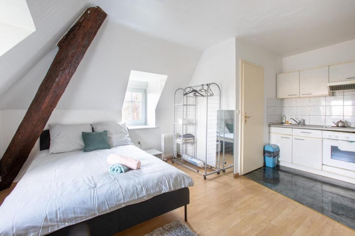 Exceptionnels Studio, Maison De Maitre, Parking Gratuit Sur Place, Centre Apartment *